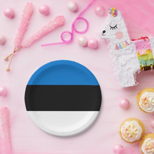 Patriotische Papiertafel mit Flagge Estlands Pappteller (Party)