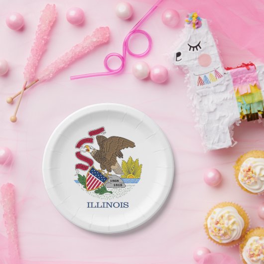 Patriotische Papiertafel mit Flagge von Illinois Pappteller (Party)