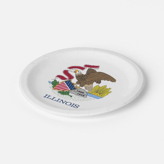 Patriotische Papiertafel mit Flagge von Illinois Pappteller (Schrägansicht)