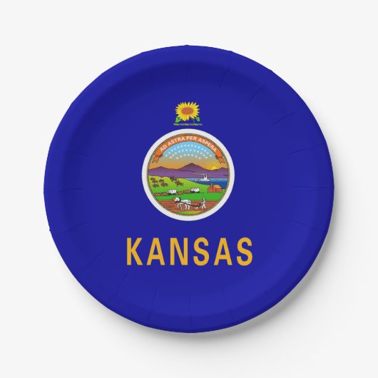 Patriotische Papiertafel mit Flagge von Kansas Pappteller (Vorderseite)