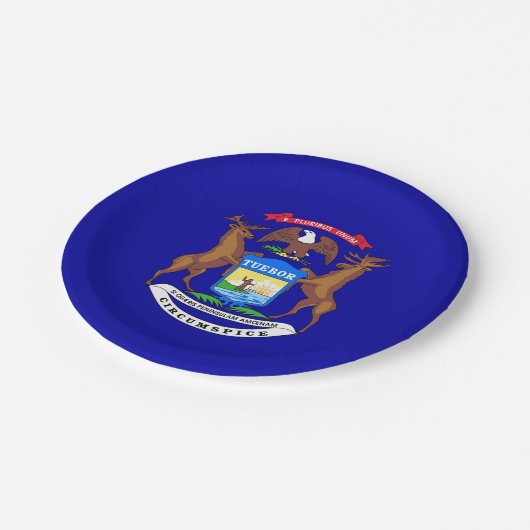 Patriotische Papiertafel mit Flagge von Michigan Pappteller (Schrägansicht)