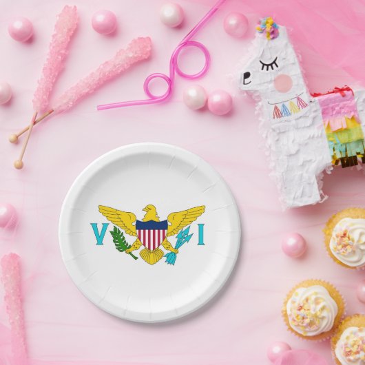 Patriotische Papiertafel mit Jungfrau Islands-Flag Pappteller (Party)