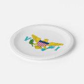 Patriotische Papiertafel mit Jungfrau Islands-Flag Pappteller (Schrägansicht)