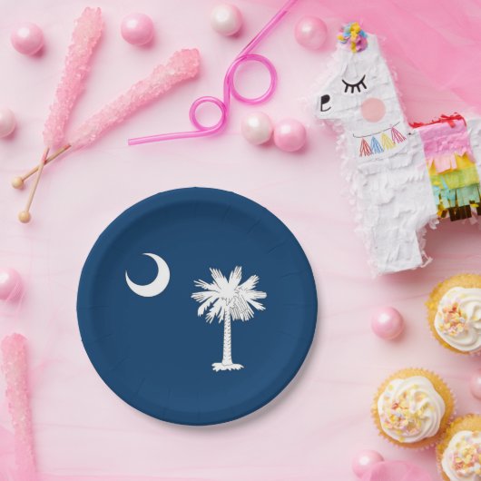 Patriotische Papiertafel mit South Carolina-Flagge Pappteller (Party)