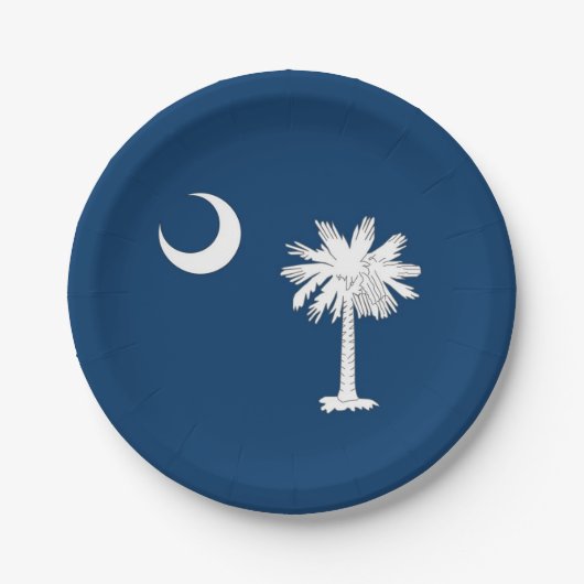 Patriotische Papiertafel mit South Carolina-Flagge Pappteller (Vorderseite)