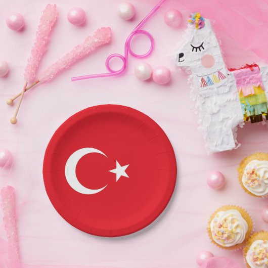 Patriotische Papiertafel mit türkischer Flagge Pappteller (Party)