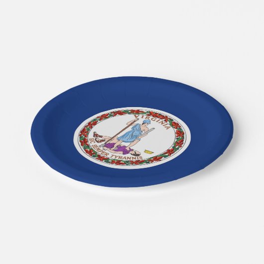 Patriotische Papiertafel mit Virginia-Flagge Pappteller (Schrägansicht)