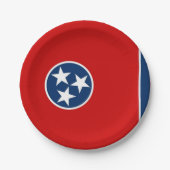 Patriotische Papiertüte mit Tennessee-Flagge Pappteller (Vorderseite)