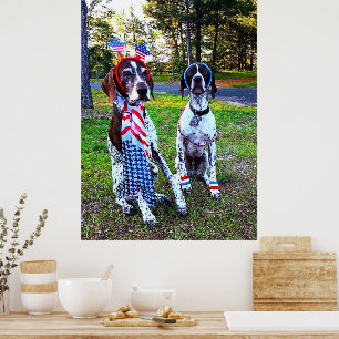 Patriotische Party-Feier-Hotdogs Poster