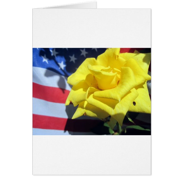 Patriotische Rose (Vorne)