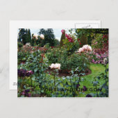 Patriotische Rose Garden Postkarte (Vorne/Hinten)