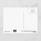 Patriotische Rose Garden Postkarte (Rückseite)