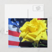 Patriotische Rose Postkarte (Vorne/Hinten)