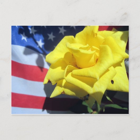 Patriotische Rose Postkarte (Vorderseite)