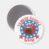 Patriotische Schokolade Labrador Magnet (Vorderseite/Rückseite)