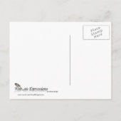 Patriotische Sternexplosion in Rot-Weiß und Blau Einladungspostkarte (Rückseite)