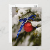 Patriotische Weihnachten (Vorne/Hinten)