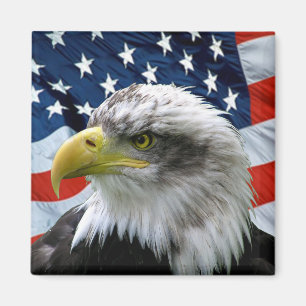 Patriotische Weißkopfseeadler-amerikanische Flagg Magnet