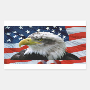 Patriotische Weißkopfseeadler-amerikanische Flagge Rechteckiger Aufkleber