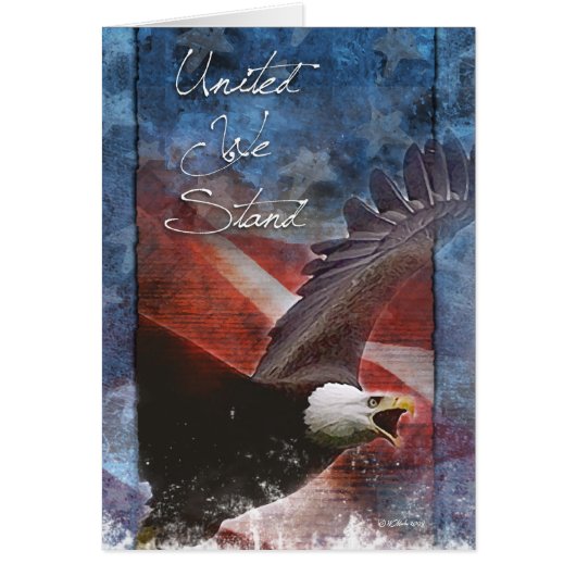 Patriotischer Adler im Flug (Vorne)