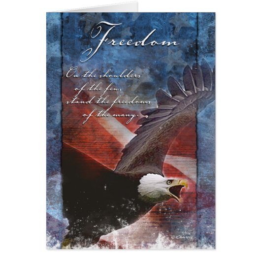 Patriotischer Adler im Flug (Vorne)