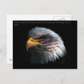 Patriotischer Adler mit Flaggenhintergrund Postkarte (Vorne/Hinten)
