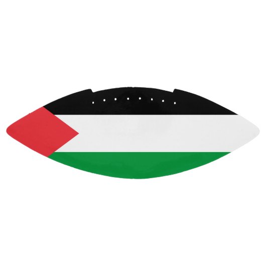 Patriotischer amerikanischer Fußball mit der Flagg Football (Panel)