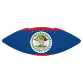 Patriotischer amerikanischer Fußball mit Flagge vo Football (Panel)