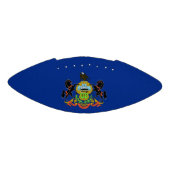 Patriotischer amerikanischer Fußball mit Pennsylva Football (Panel)