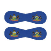 Patriotischer Baseball mit der Fahne von Pennsylva (Paneele)