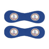 Patriotischer Baseball mit der Flagge Virginias (Paneele)