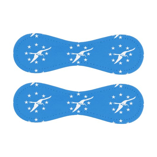 Patriotischer Baseball mit der Flagge von Corpus C (Paneele)