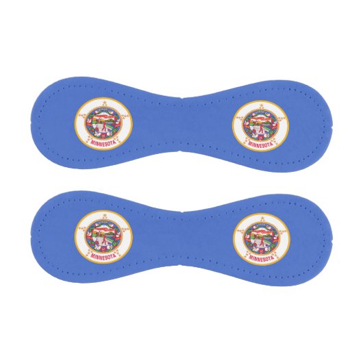 Patriotischer Baseball mit der Flagge von Minnesot (Paneele)