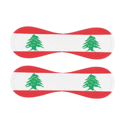 Patriotischer Baseball mit libanesischer Flagge (Paneele)