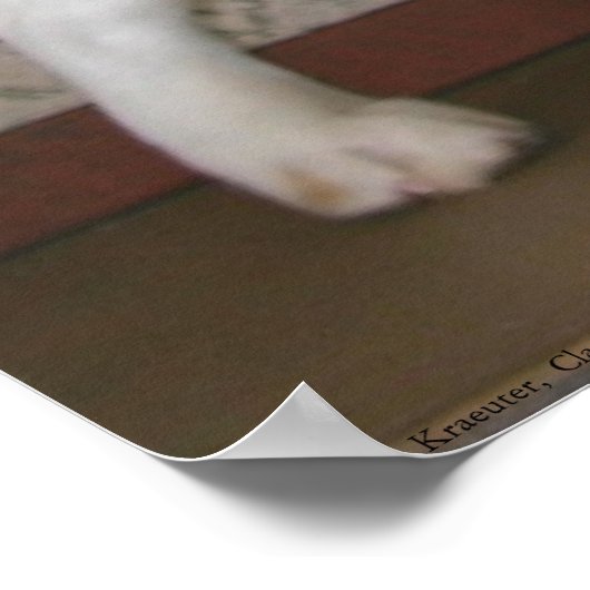 Patriotischer Beagle Poster (Ecke)