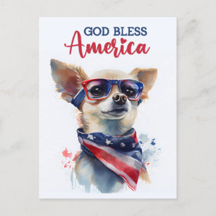 Patriotischer Chihuahua, Gott segne Amerika Postka Postkarte