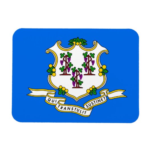 Patriotischer flexibler Magnet mit Connecticut-Fla (Horizontal)