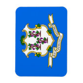 Patriotischer flexibler Magnet mit Connecticut-Fla (Vertikal)