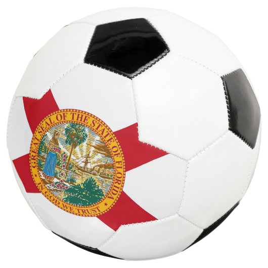 Patriotischer Fußball-Ball mit Flagge Floridas USA Fußball (Dreiviertel)