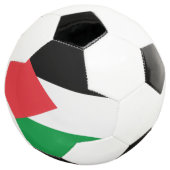 Patriotischer Fußballball mit palästinensischer Fl Fußball (Dreiviertel)