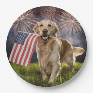 Patriotischer Goldener Retriever mit Feuerwerken Pappteller