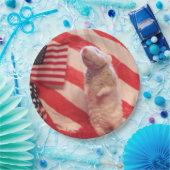 Patriotischer Murray Pappteller (Party)