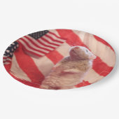 Patriotischer Murray Pappteller (Schrägansicht)