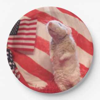 Patriotischer Murray Pappteller