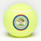 Patriotischer Tennisball mit Flagge von Belize Tennisbälle (Rückseite)