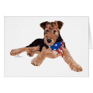 Patriotischer Terrier-Welpe