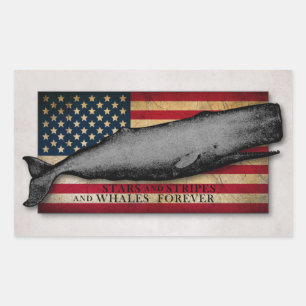 Patriotischer Vintage-Wal und US-Flagge Wale für i Rechteckiger Aufkleber
