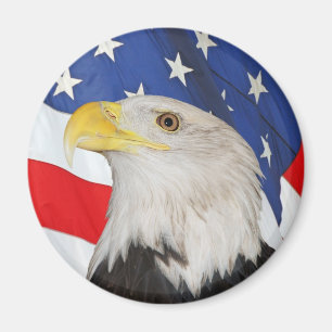 Patriotischer Weißkopfseeadler und amerikanische Magnet