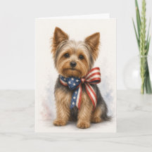 Patriotischer Yorkshire Terrier - Yorkie 4. Juli