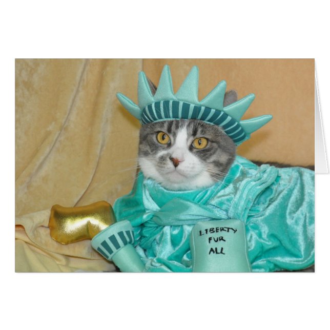 Patriotisches 4. Juli der grauen (Vorderseite (Horizontal))